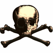 SKULL AND CROSS BONES photo sculptures