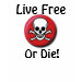 Ladies Long Sleeve