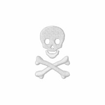 Skull and Crossbones Embroidered Track Jacket