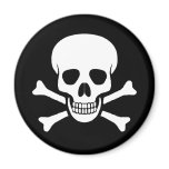 Skull and Crossbones Magnet