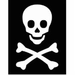 Skull and Crossbones Photo Cut Outs