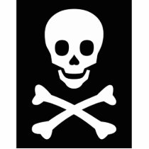 Skull and Crossbones photo sculptures by Ladiebug Skull and Crossbones photo sculptures