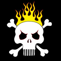 Skull and flames women's t-shirt