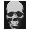 Skull Black & White Pop Art flyers