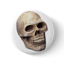SKULL BONE pin buttons