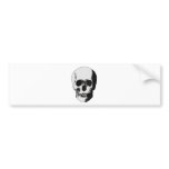 Skull Bumper Sticker