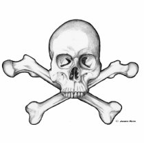 Skull & Crossbones photo sculptures