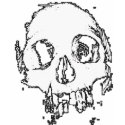Skull Design 2 - Ladies t-shirts