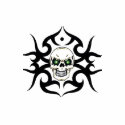 Skull Design t-shirts