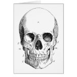Skull Diagram Card