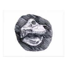 Skull drawing imaginary animal sketch post card