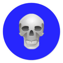 Skull Face Sticker