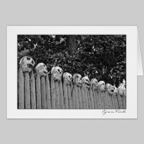 Skull Fence cards