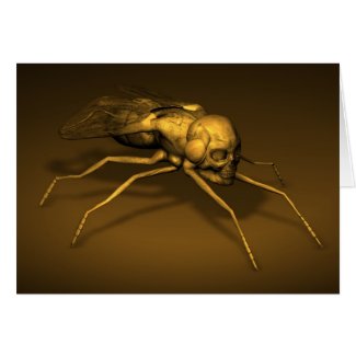 Skull Fly Cards