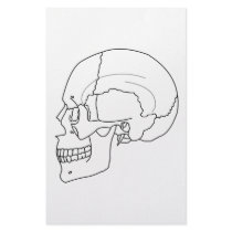 SKULL CUSTOM FLYER