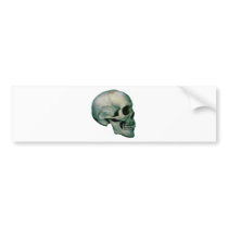 Skull From Profile Bumper Sticker