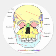 Skull (front) round stickers