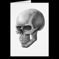 Skull cards