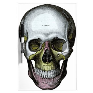 Skull - Halloween - Med School Dry Erase Board