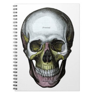 Skull - Halloween - Med School Spiral Notebooks