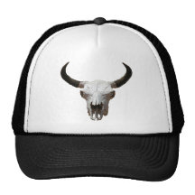Skull Hat