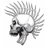 Skull Hawk t-shirts