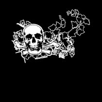 Skull in The Ivy t-shirts