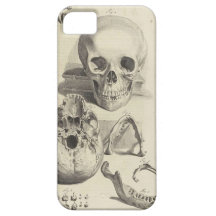 Skull iPhone 5 Case
