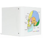Skull (lateral) binder