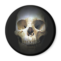 Skull Fridge Magnet