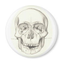 Skull magnet magnets