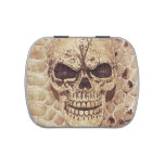 skull on snakeskin jelly belly candy tin