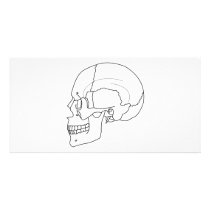 SKULL photo cards by wolfandbird SKULL photo cards