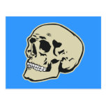 Skull Post Card