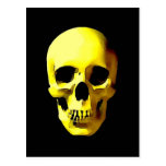 Skull Post Cards