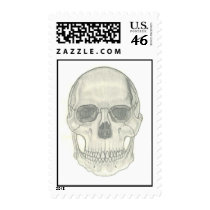 Skull postage by SpecialAgentLira Skull postage