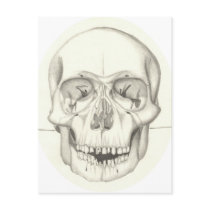 Skull postcard postcards