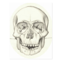 Skull postcard