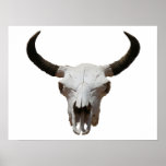 Skull posters