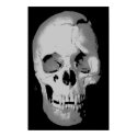 Skull Poster - Black & White Pop Art, Fantasy Art posters by made_in_atlantis Skull Poster - Black & White Pop Art, Fantasy Art posters