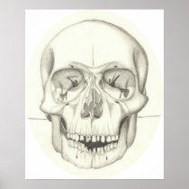 Skull print