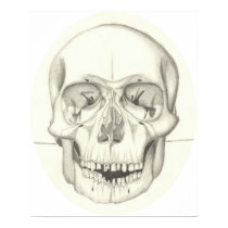 Skull print posters