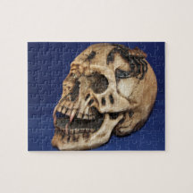 Skull Puzzle on blue shot close up.