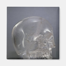 Skull Refrigerator Magnet