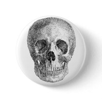 Skull Sketch perfect for Halloween party needs! Pins
