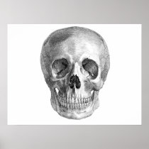 Skull Sketch perfect for Halloween party needs! Poster