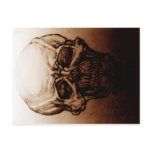 Skull Study Postcard