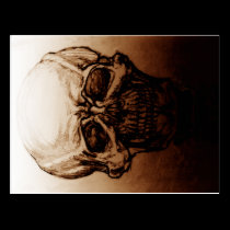 Skull Study postcards