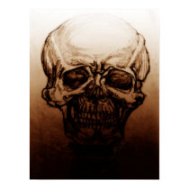 Skull Study posters