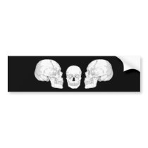 Skull Trio Bumper Sticker